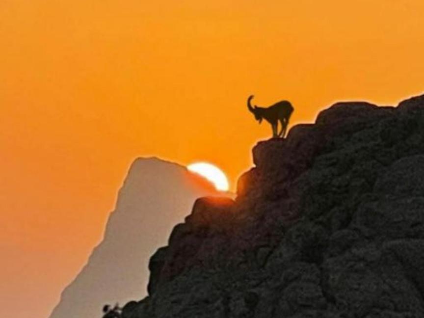Jabal Shams Bayt Kawakib Villa Misfah Bagian luar foto